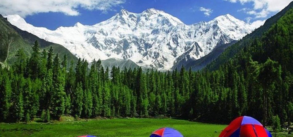 Fairy Meadows